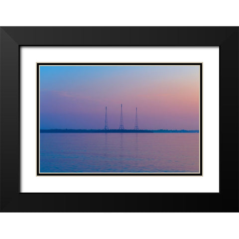 Antennae Black Modern Wood Framed Art Print with Double Matting by Malone, Will