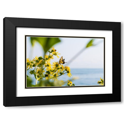 Monarch Black Modern Wood Framed Art Print with Double Matting by Malone, Will