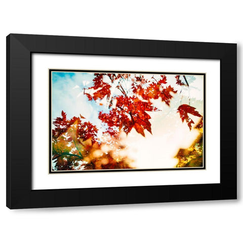 Autumn Leaves Black Modern Wood Framed Art Print with Double Matting by Malone, Will