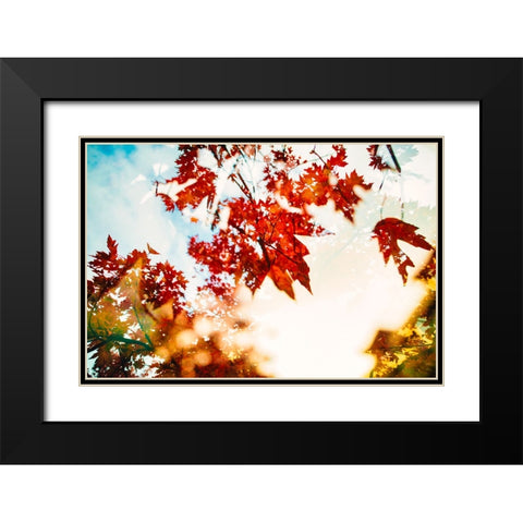 Autumn Leaves Black Modern Wood Framed Art Print with Double Matting by Malone, Will