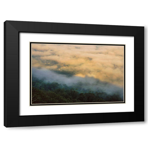 Golden Morning 4 Black Modern Wood Framed Art Print with Double Matting by Malone, Will
