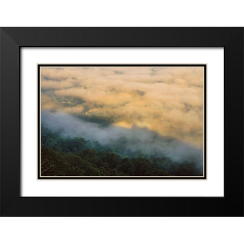 Golden Morning 4 Black Modern Wood Framed Art Print with Double Matting by Malone, Will
