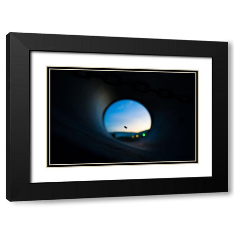 Spider Black Modern Wood Framed Art Print with Double Matting by Malone, Will