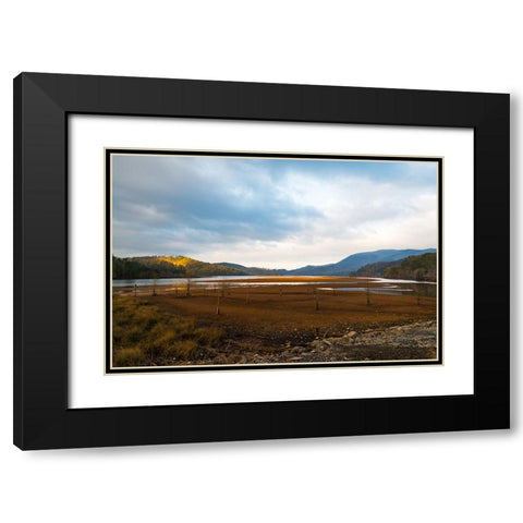 Dried Out Black Modern Wood Framed Art Print with Double Matting by Malone, Will