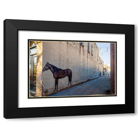 Horse Alley Black Modern Wood Framed Art Print with Double Matting by Malone, Will