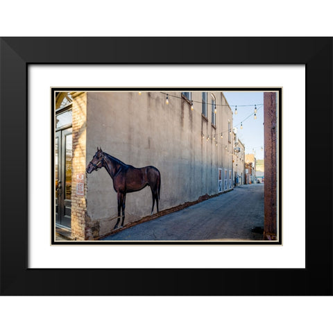 Horse Alley Black Modern Wood Framed Art Print with Double Matting by Malone, Will