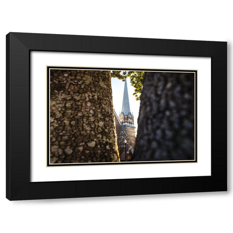 Through the Trees Black Modern Wood Framed Art Print with Double Matting by Malone, Will