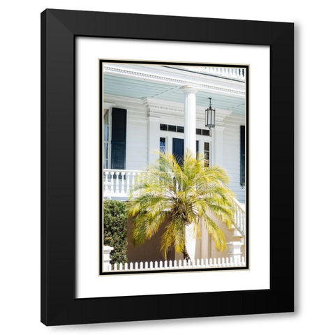 Front Porch Palm Black Modern Wood Framed Art Print with Double Matting by Malone, Will