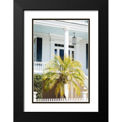 Front Porch Palm Black Modern Wood Framed Art Print with Double Matting by Malone, Will