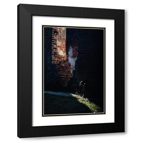 Sunlight Black Modern Wood Framed Art Print with Double Matting by Malone, Will