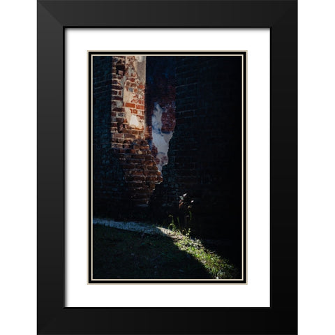 Sunlight Black Modern Wood Framed Art Print with Double Matting by Malone, Will