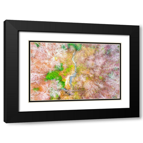 Aerial Creek Black Modern Wood Framed Art Print with Double Matting by Malone, Will