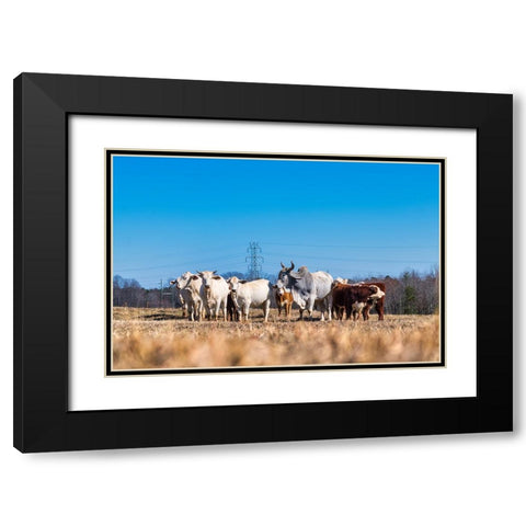 Drawing a Crowd 2 Black Modern Wood Framed Art Print with Double Matting by Malone, Will