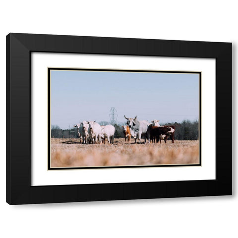 Drawing a Crowd Re-edit Black Modern Wood Framed Art Print with Double Matting by Malone, Will