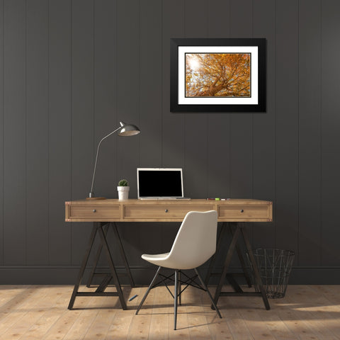 Grand Fall 2 Black Modern Wood Framed Art Print with Double Matting by Malone, Will