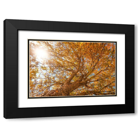 Grand Fall 2 Black Modern Wood Framed Art Print with Double Matting by Malone, Will