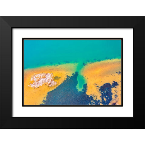 Savannah 4 Black Modern Wood Framed Art Print with Double Matting by Malone, Will