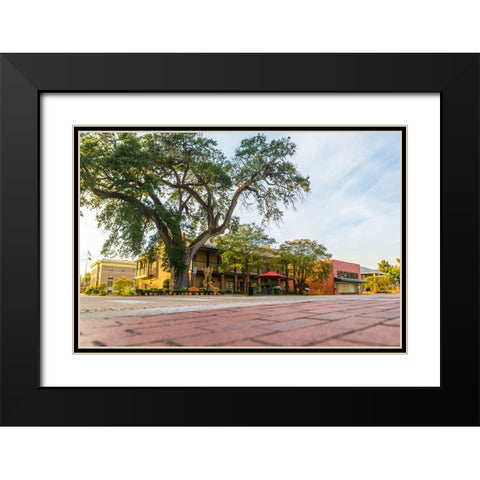 City Hall Black Modern Wood Framed Art Print with Double Matting by Malone, Will