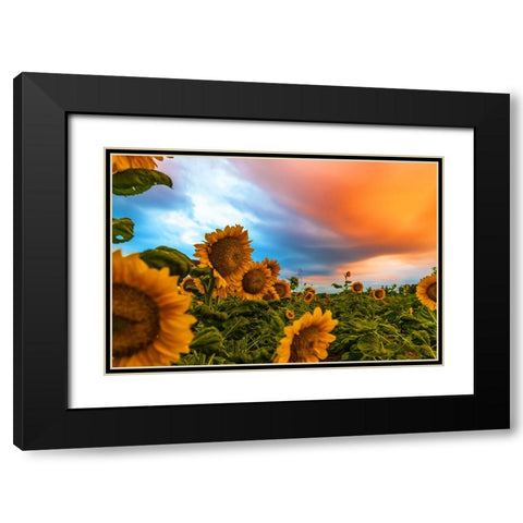 Denver Downs Sunrise Black Modern Wood Framed Art Print with Double Matting by Malone, Will