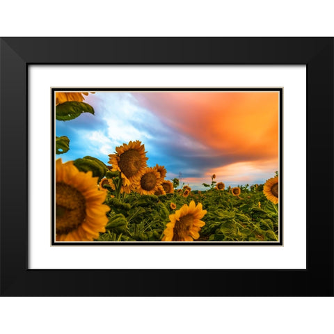 Denver Downs Sunrise Black Modern Wood Framed Art Print with Double Matting by Malone, Will