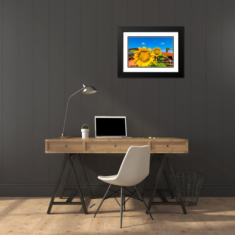 Denver Downs Sunflowers 2 Black Modern Wood Framed Art Print with Double Matting by Malone, Will