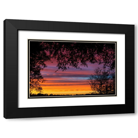 Backyard Sun Black Modern Wood Framed Art Print with Double Matting by Malone, Will