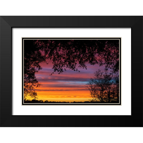 Backyard Sun Black Modern Wood Framed Art Print with Double Matting by Malone, Will