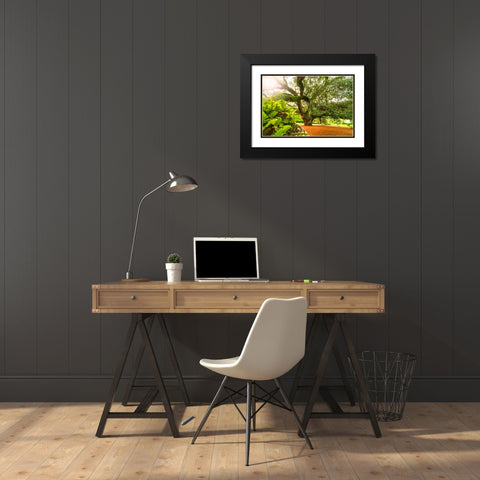 Big Oak 9 Black Modern Wood Framed Art Print with Double Matting by Malone, Will