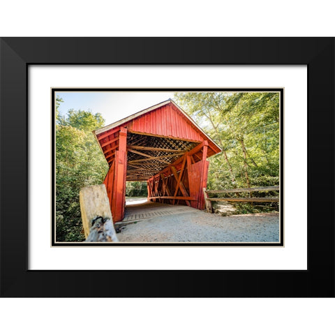 Campbells Covered 3 Black Modern Wood Framed Art Print with Double Matting by Malone, Will