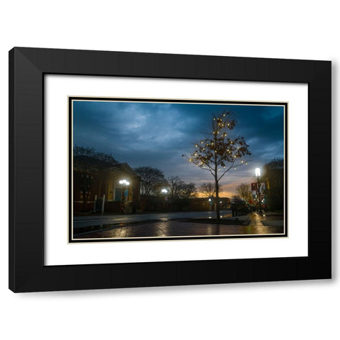 Charlie Brown Tree Black Modern Wood Framed Art Print with Double Matting by Malone, Will