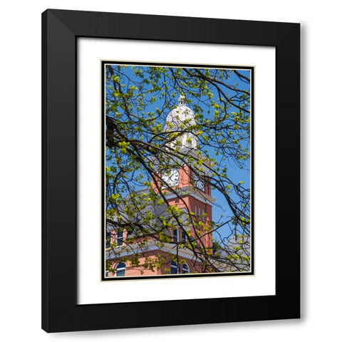 Covered Black Modern Wood Framed Art Print with Double Matting by Malone, Will