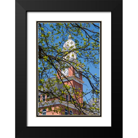 Covered Black Modern Wood Framed Art Print with Double Matting by Malone, Will