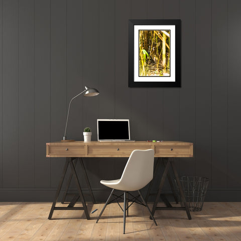 Deer at Rest Vertical Black Modern Wood Framed Art Print with Double Matting by Malone, Will