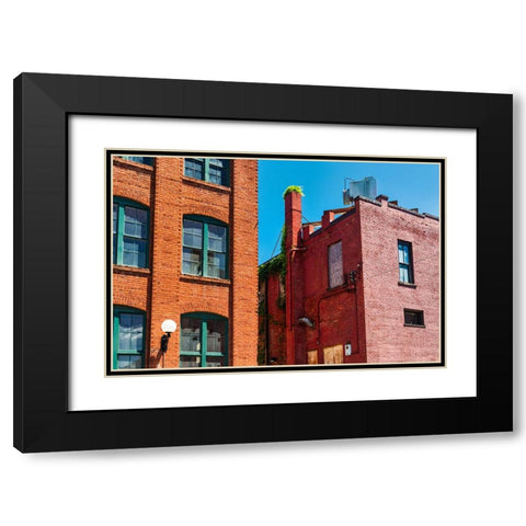 Palmetto Alley Black Modern Wood Framed Art Print with Double Matting by Malone, Will