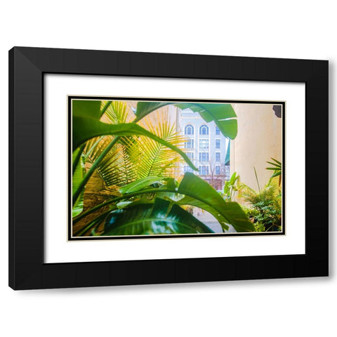 Thomasville Jungle Black Modern Wood Framed Art Print with Double Matting by Malone, Will