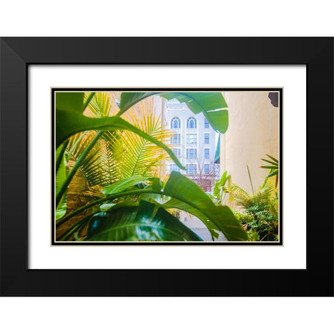 Thomasville Jungle Black Modern Wood Framed Art Print with Double Matting by Malone, Will
