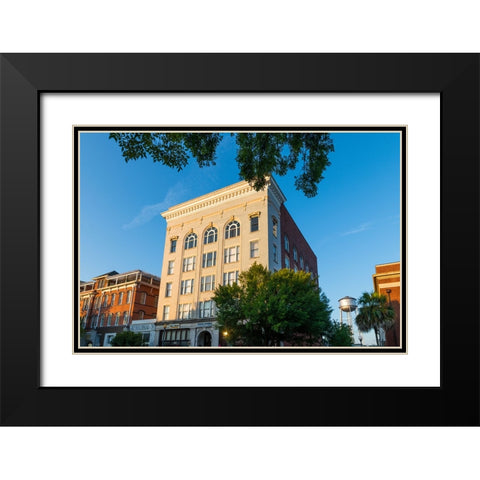 Thomasville Morning Black Modern Wood Framed Art Print with Double Matting by Malone, Will