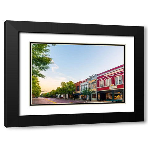 Thomasville Morning 3 Black Modern Wood Framed Art Print with Double Matting by Malone, Will