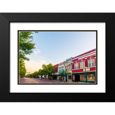 Thomasville Morning 3 Black Modern Wood Framed Art Print with Double Matting by Malone, Will