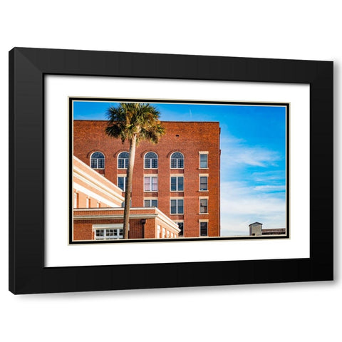 Thomasville Strip 2 Black Modern Wood Framed Art Print with Double Matting by Malone, Will