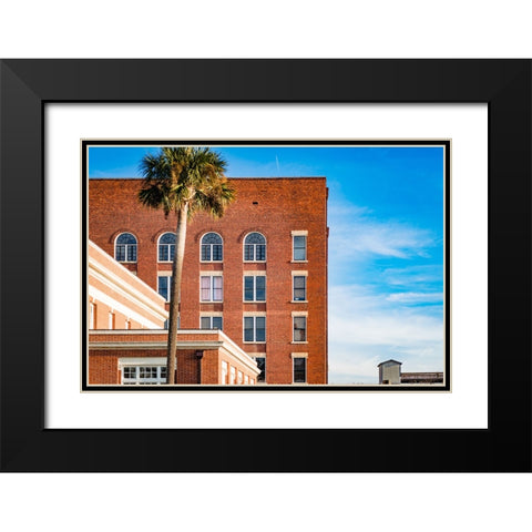Thomasville Strip 2 Black Modern Wood Framed Art Print with Double Matting by Malone, Will