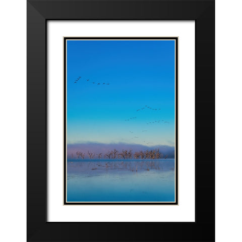 Tired Creek Fog Black Modern Wood Framed Art Print with Double Matting by Malone, Will
