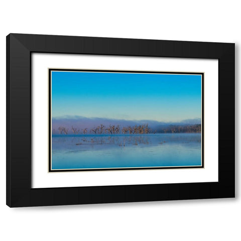 Tired Creek Morning 2 Black Modern Wood Framed Art Print with Double Matting by Malone, Will