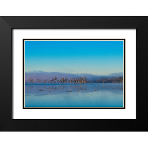 Tired Creek Morning 2 Black Modern Wood Framed Art Print with Double Matting by Malone, Will