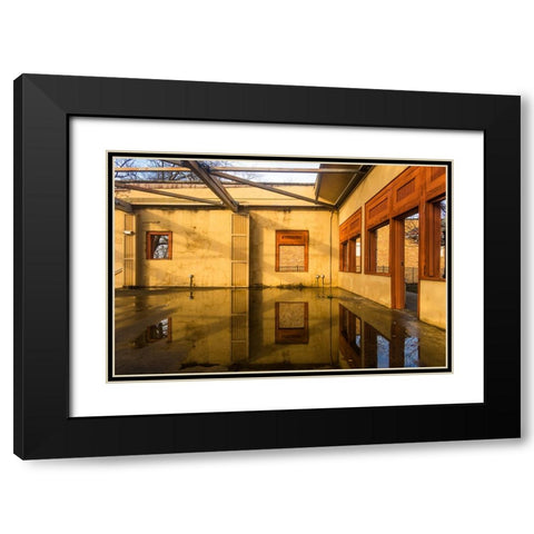 Yellow Korner Black Modern Wood Framed Art Print with Double Matting by Malone, Will