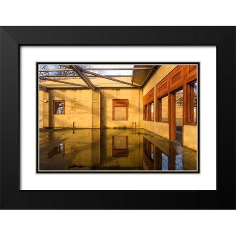 Yellow Korner Black Modern Wood Framed Art Print with Double Matting by Malone, Will