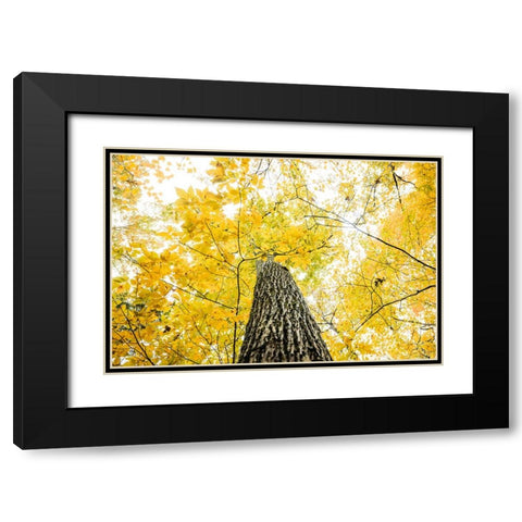 Yellow 2B Black Modern Wood Framed Art Print with Double Matting by Malone, Will