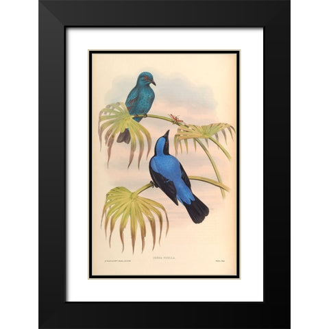 Irena Puella Black Modern Wood Framed Art Print with Double Matting by CAG