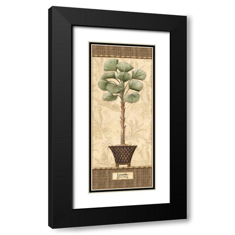 Botanical Palm I Black Modern Wood Framed Art Print with Double Matting by Audrey, Charlene
