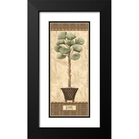 Botanical Palm I Black Modern Wood Framed Art Print with Double Matting by Audrey, Charlene